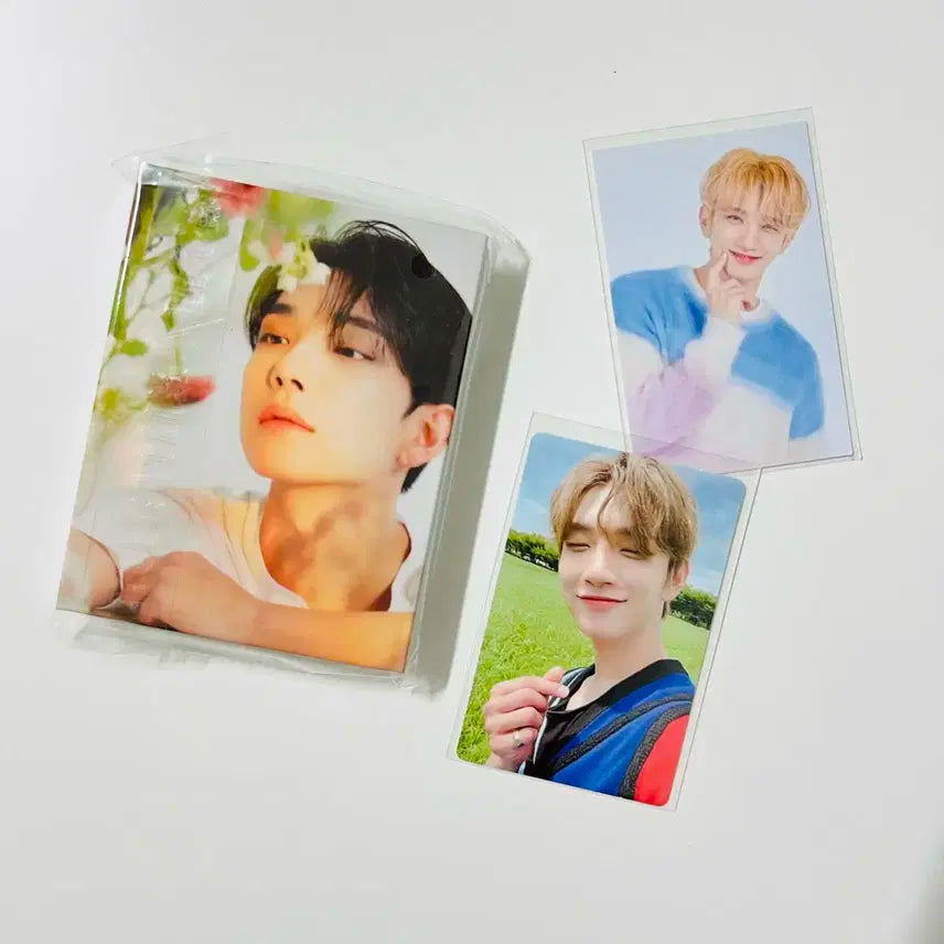 세븐틴 조슈아 디어 버전 바인더 캐럿반 디어반 포카