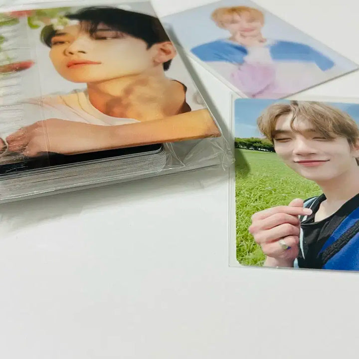 세븐틴 조슈아 디어 버전 바인더 캐럿반 디어반 포카