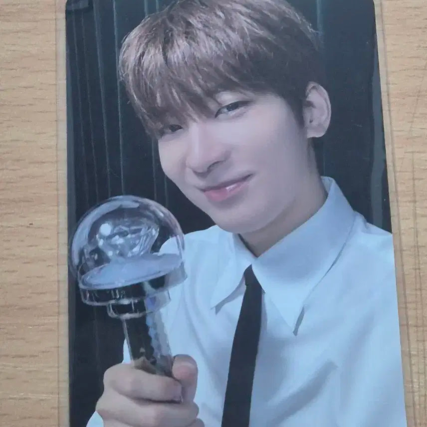 세븐틴 원우 고양콘 캐럿존
