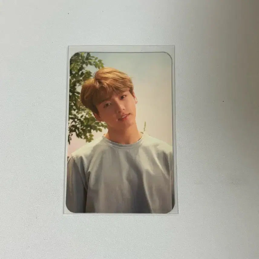 방탄소년다 럽셀 앨범 정국 포카