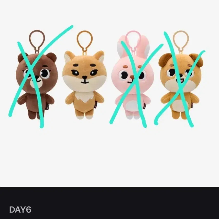 데이식스 데니멀즈 20 케