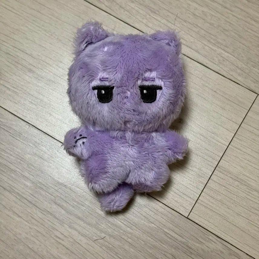 몬스타엑스 아이엠 창균 비공굿 훙냥이