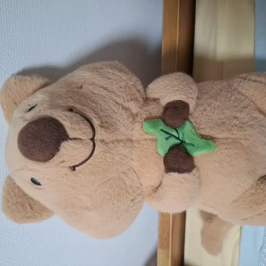 쿼카 인형 봉제인형 갈색