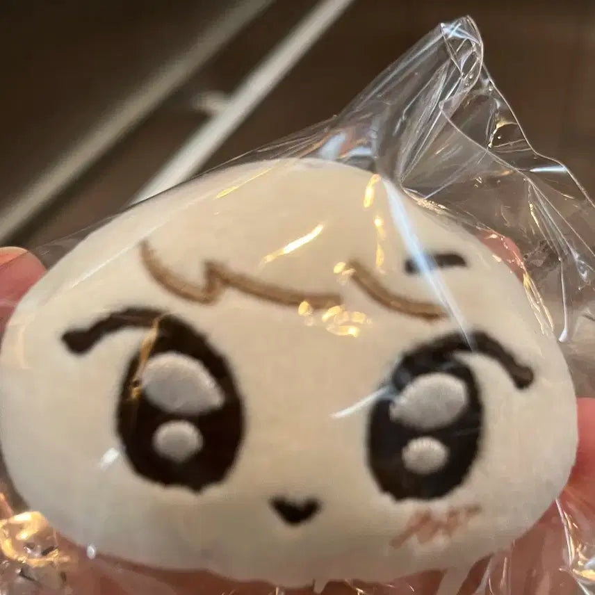 엔하이픈 양정원 정원 인형 만두냥