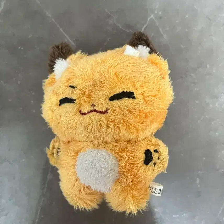 제베원 석매튜 여우튜