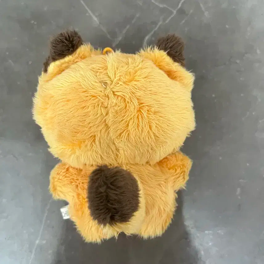 제베원 석매튜 여우튜