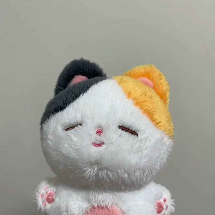 방탄 지민 인형 찜냥이 인형 양도