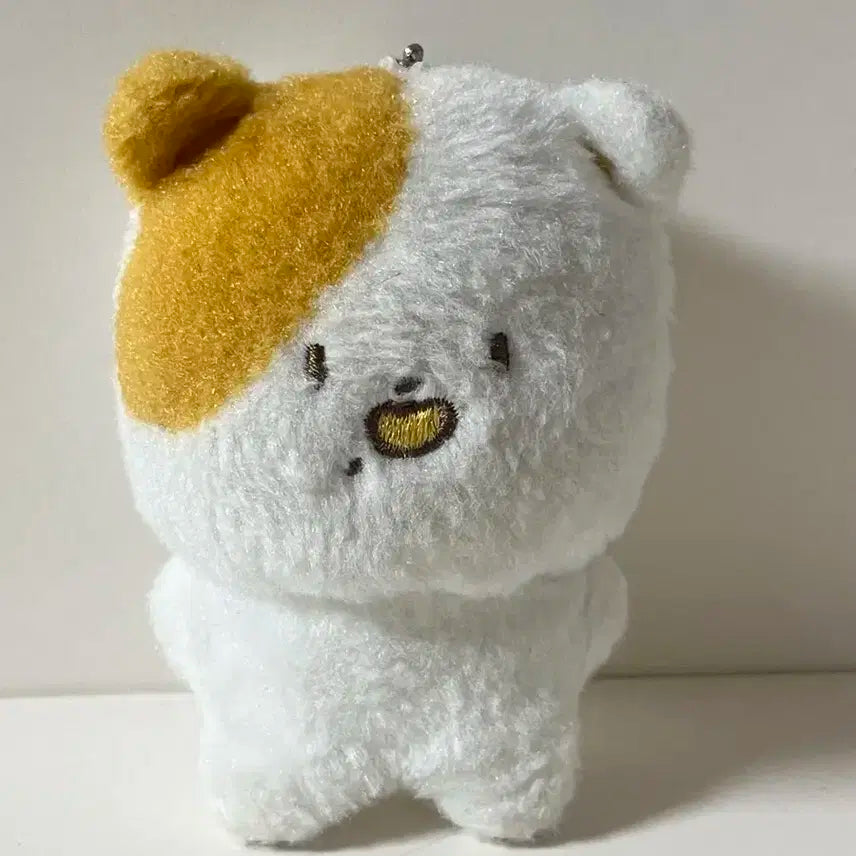 엔시티 지성 포켓찌 인형