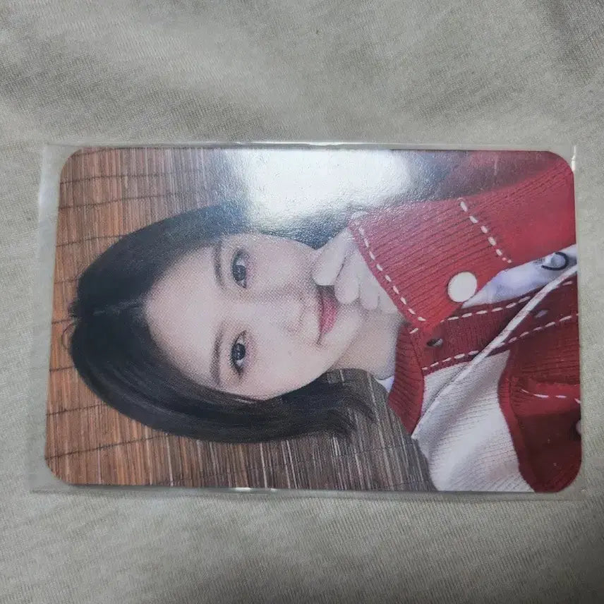 아이브 가을포카