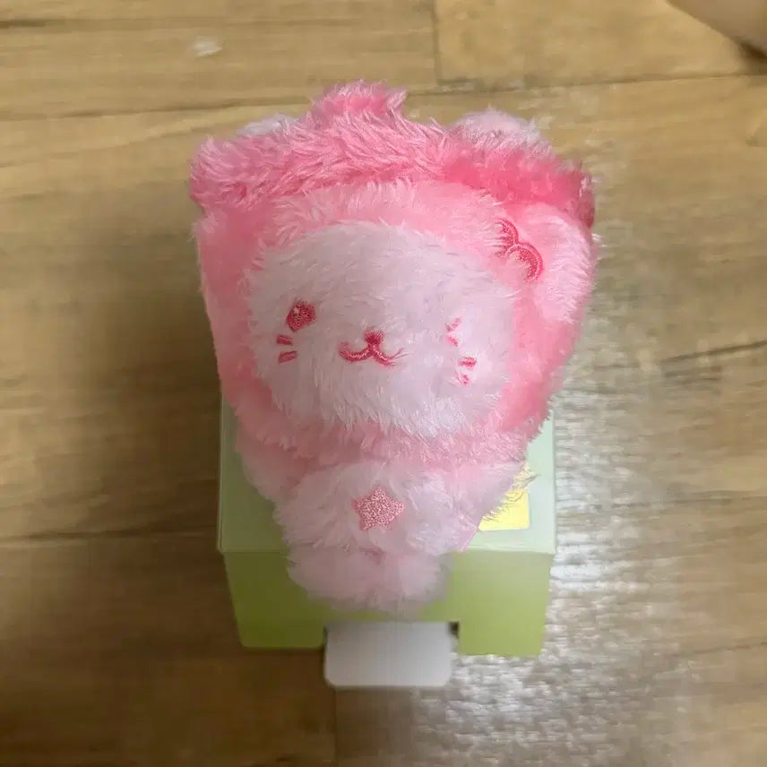 엔시티위시 위부부 블루 핑크 버블냥 유우시 위시돌