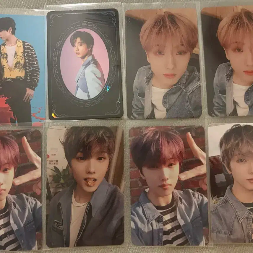 NCT DREAM 엔시티 드림 지성 포토카드 8장 일괄