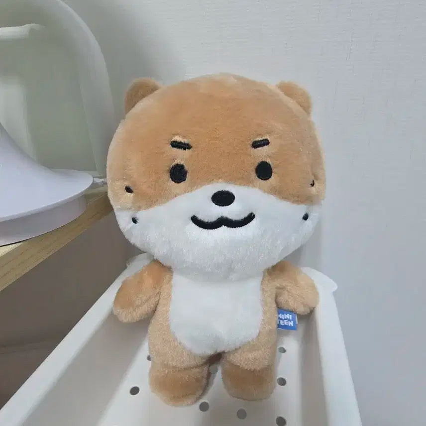 미니틴 찬달이 인형+스웨터 Miniteen Chandalee Plush