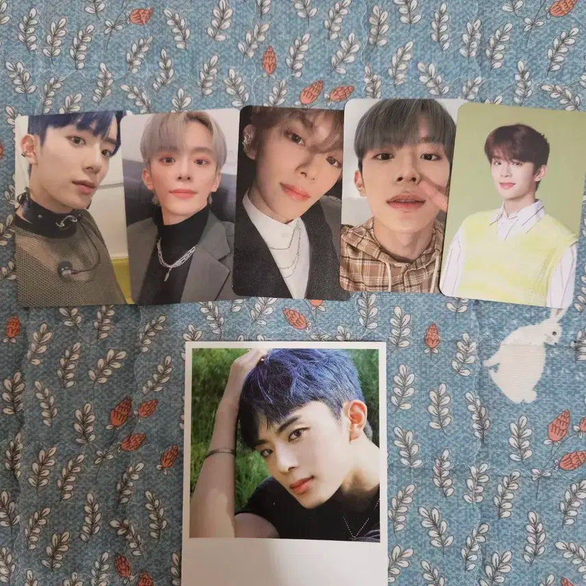 베리베리 강민 포카세트