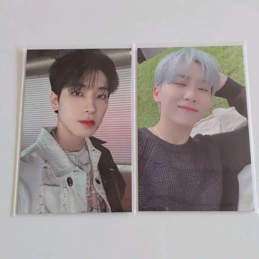 세븐틴 공방 포카 원우 승관