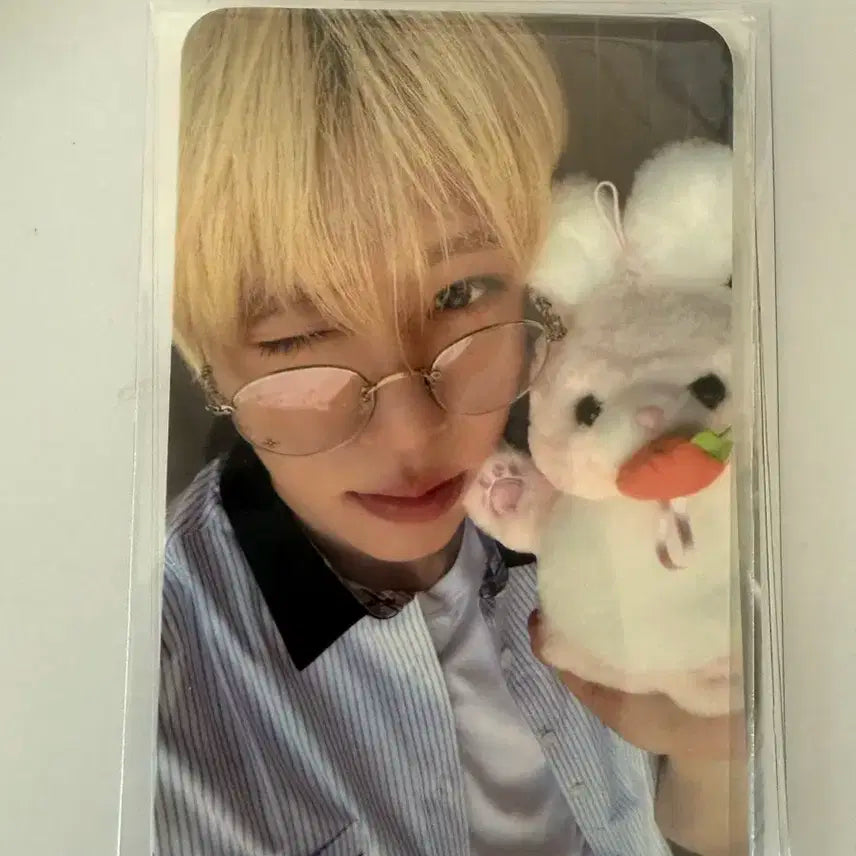 에버위시 시온 입장포카 양도