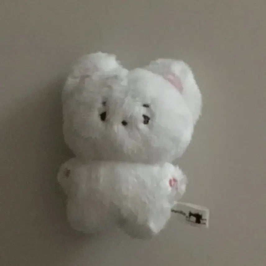 보넥도 보이넥스트도어 이한 10cm 인형 솜넥도 솜이한