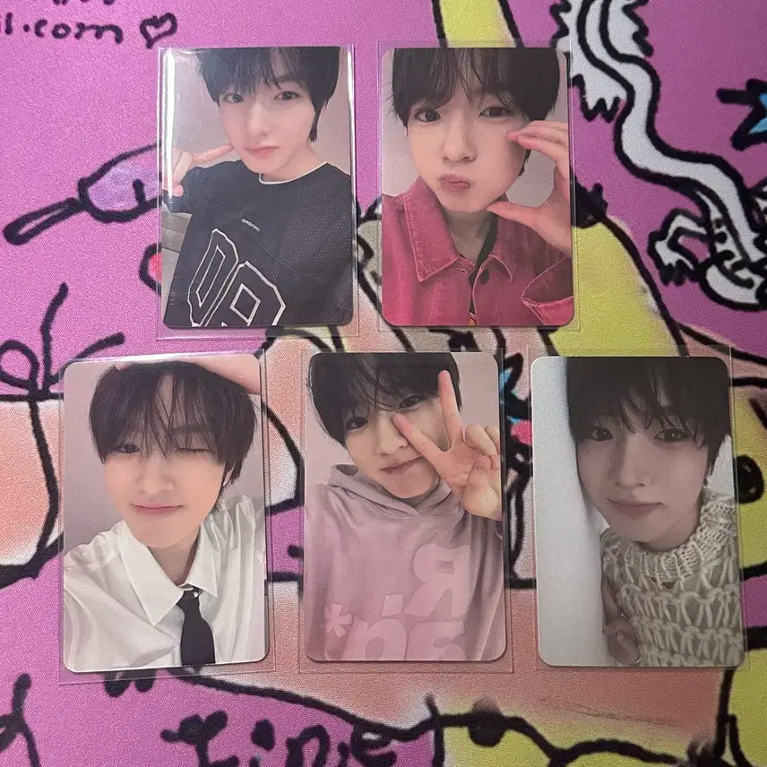 엔시티 위시 사쿠야 스테디 앨포 미공포 일괄