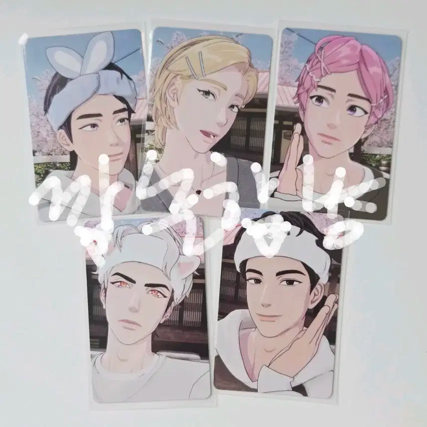 플레이브 메디힐 1차 포카 일괄
