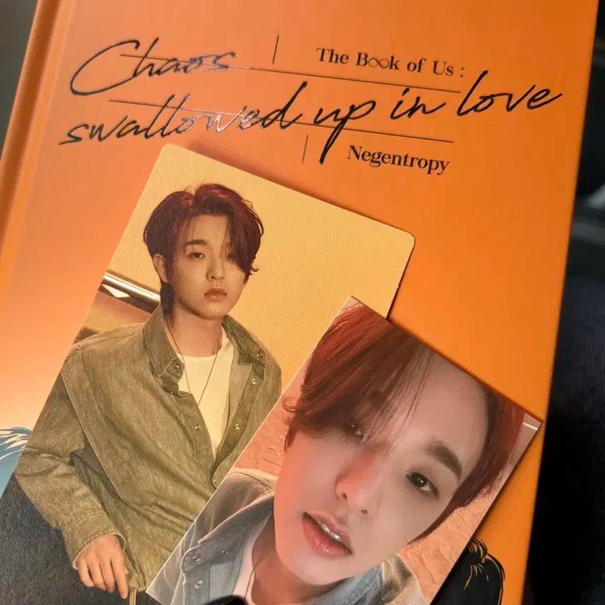 데이식스 Negentropy 제이 포카