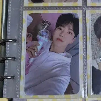 세븐틴 호시 캐럿랜드 캐럿존 포카