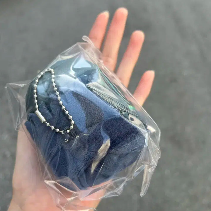 윈브레 스기시타 인형