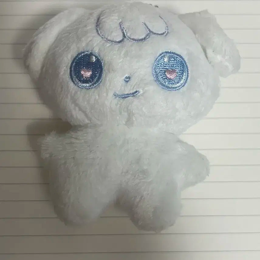 앤팀 의주 특별한 코냥쭈멍