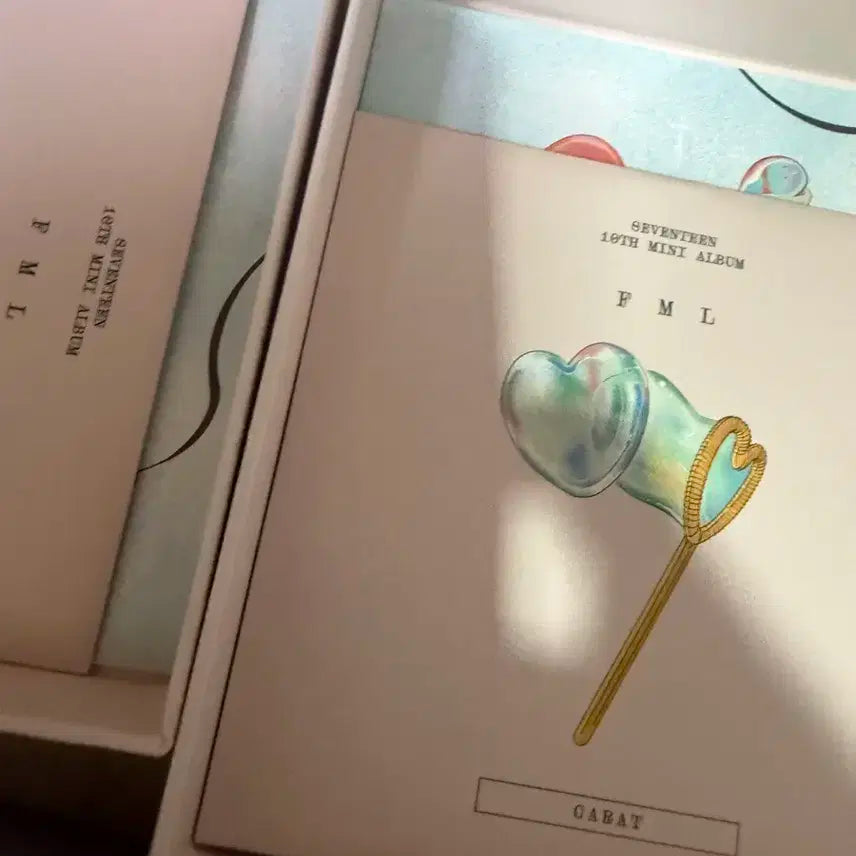 세븐틴 캐럿반 판매 바인더 + 포카