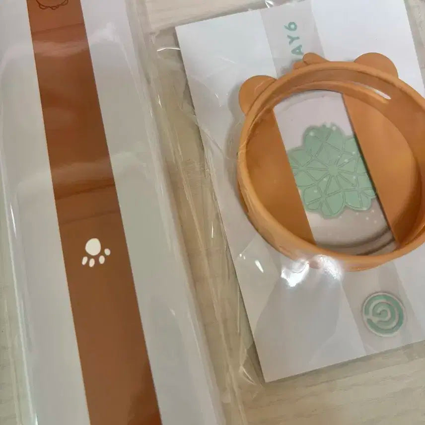 데이식스 쁘띠멀즈 방 라이트밴드 링커버 스트랩 백참 성진