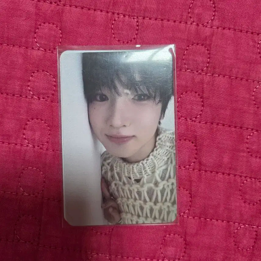 엔시티 위시 사쿠야 포카 위츄 스테디 어쩌고