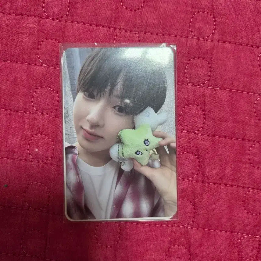 엔시티 위시 사쿠야 포카 위츄 스테디 어쩌고