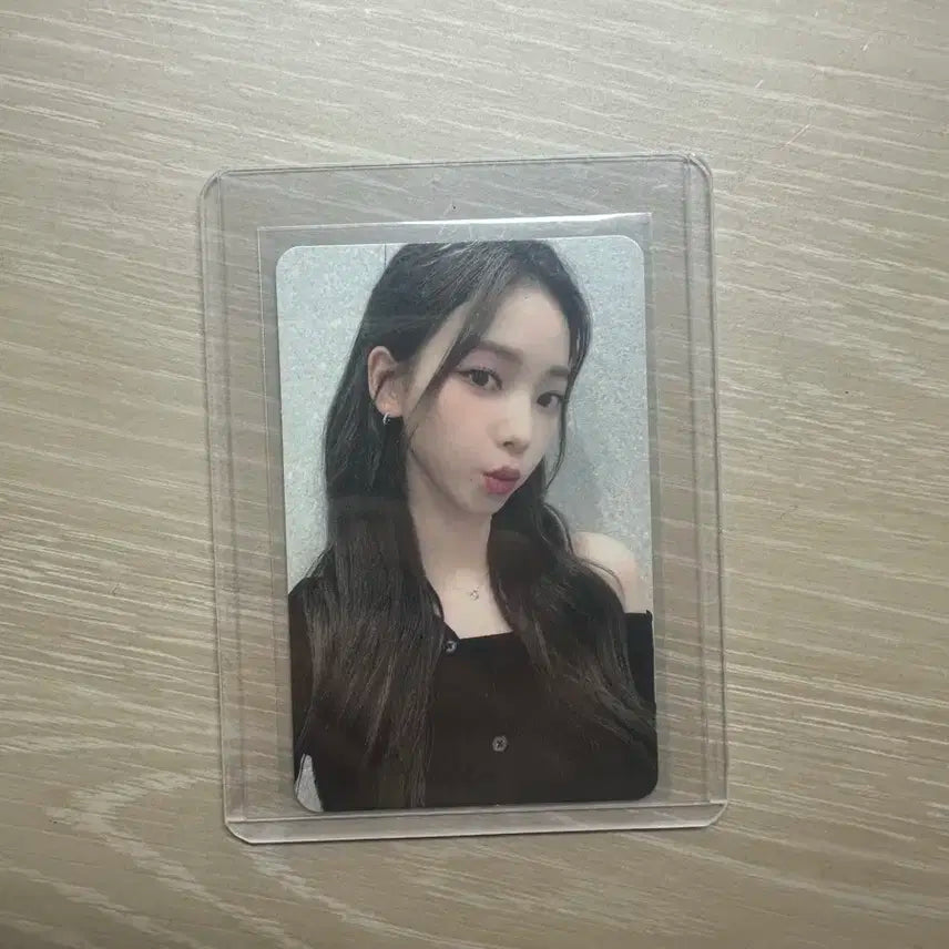카리나 포카 판매