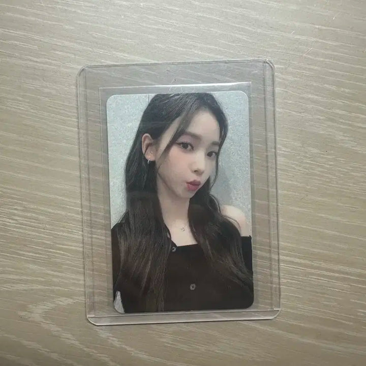 카리나 포카 판매