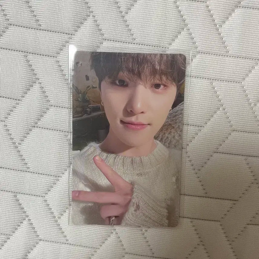 세븐틴 디노 페더썬 포카 양도