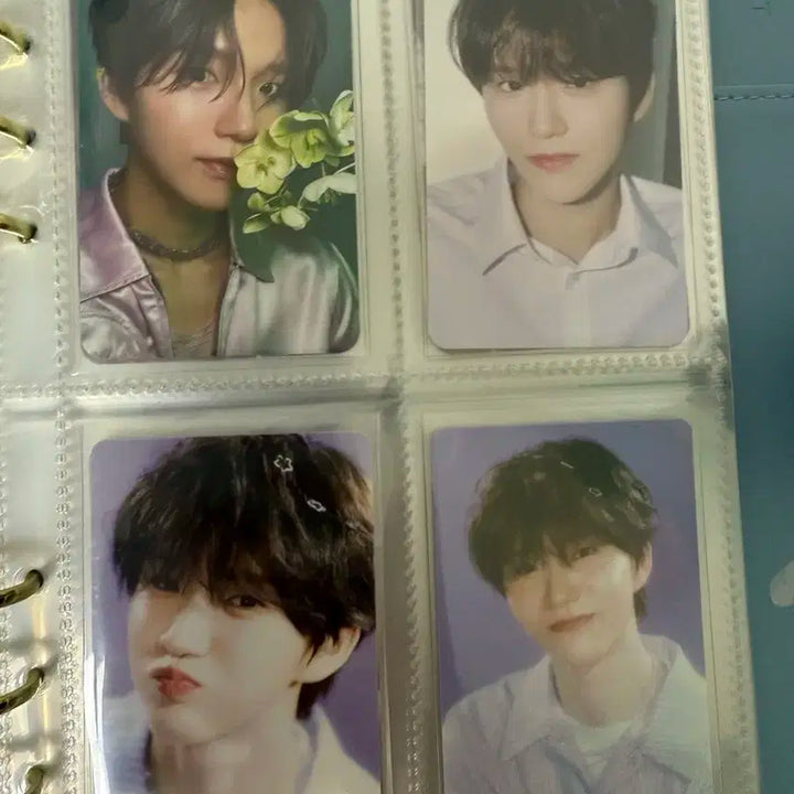 엔시티 위시 재희 대영 포카 일괄 양도