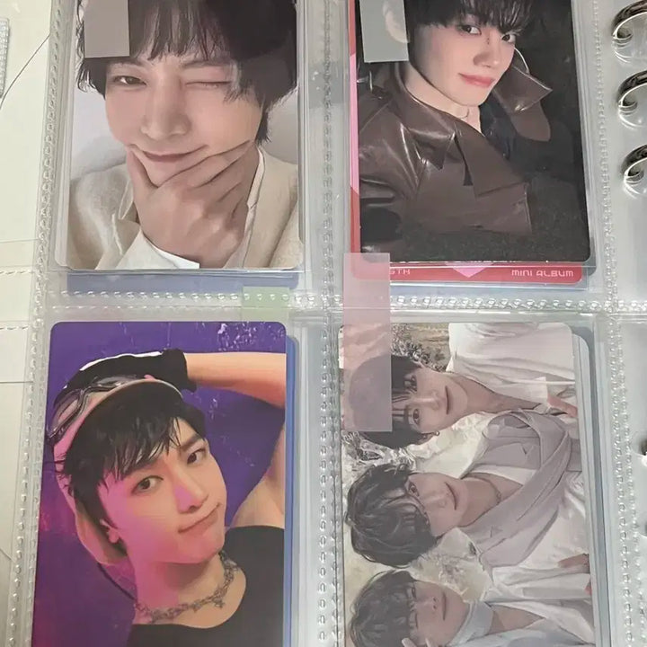 제베원 포카 앨범 일괄