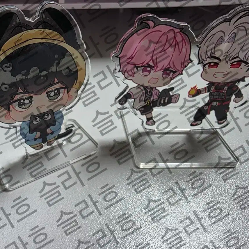 플레이브 비공굿 코롯토