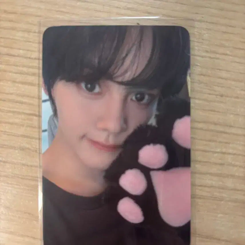 Day3 제로베이스원 월드투어 제로즈존 포카양도