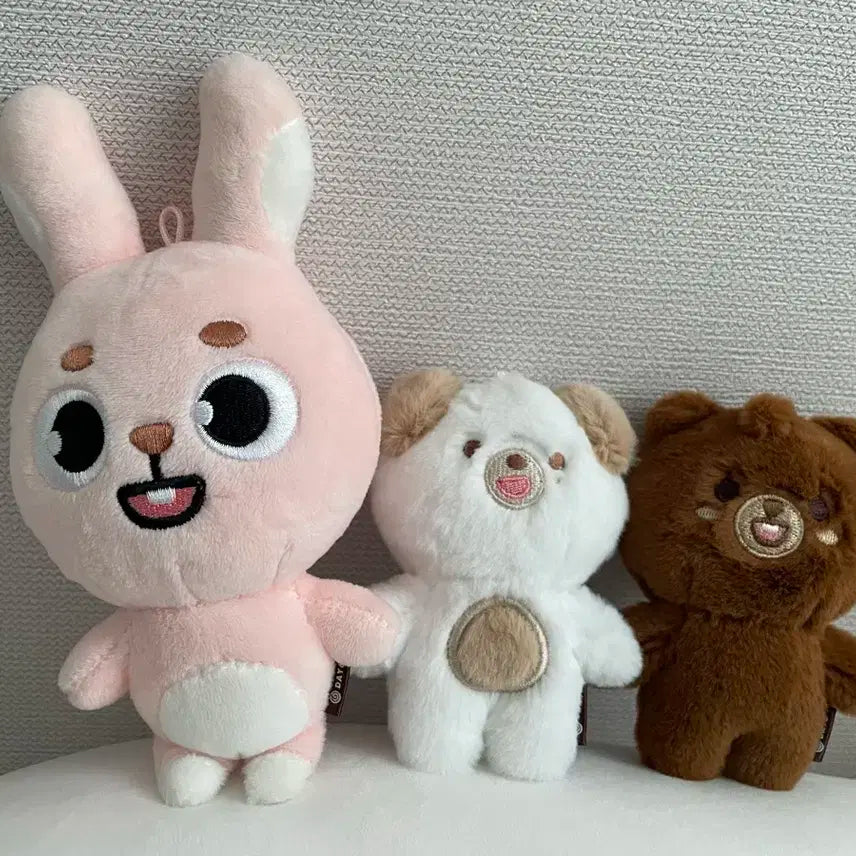 데이식스 쁘띠멀즈 방