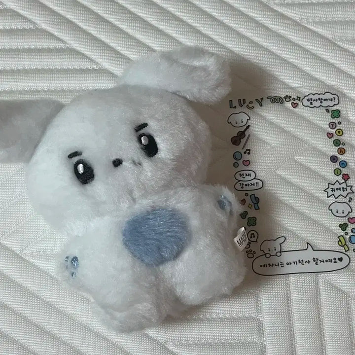 루시 신예찬 굿즈판매