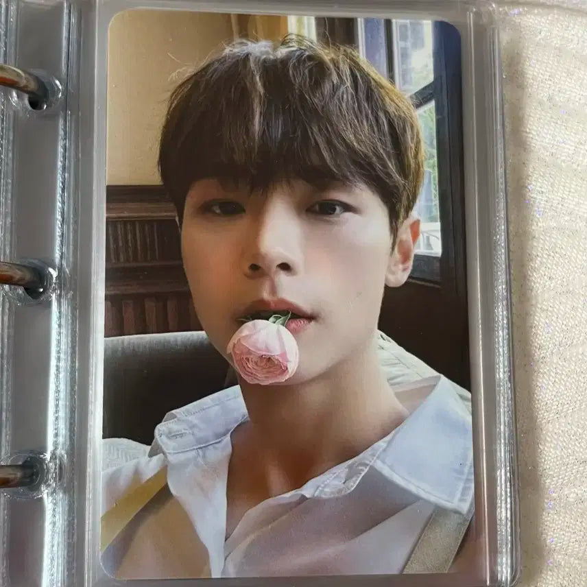 루시 신예찬 굿즈판매