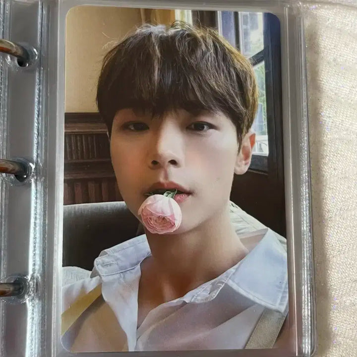 루시 신예찬 굿즈판매