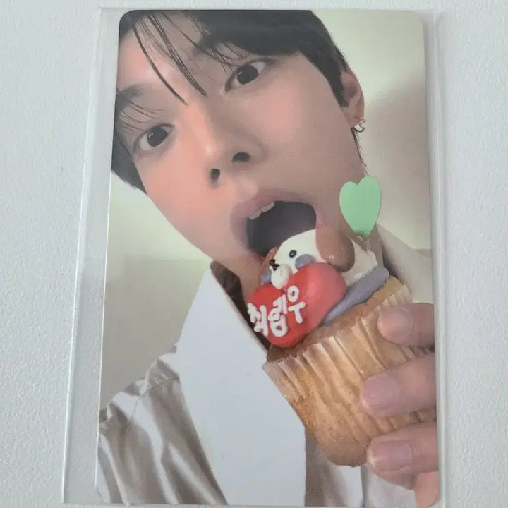 보플 보플2 최립우 7번 포카 전시회 아카이브 팝업 최립우 포카