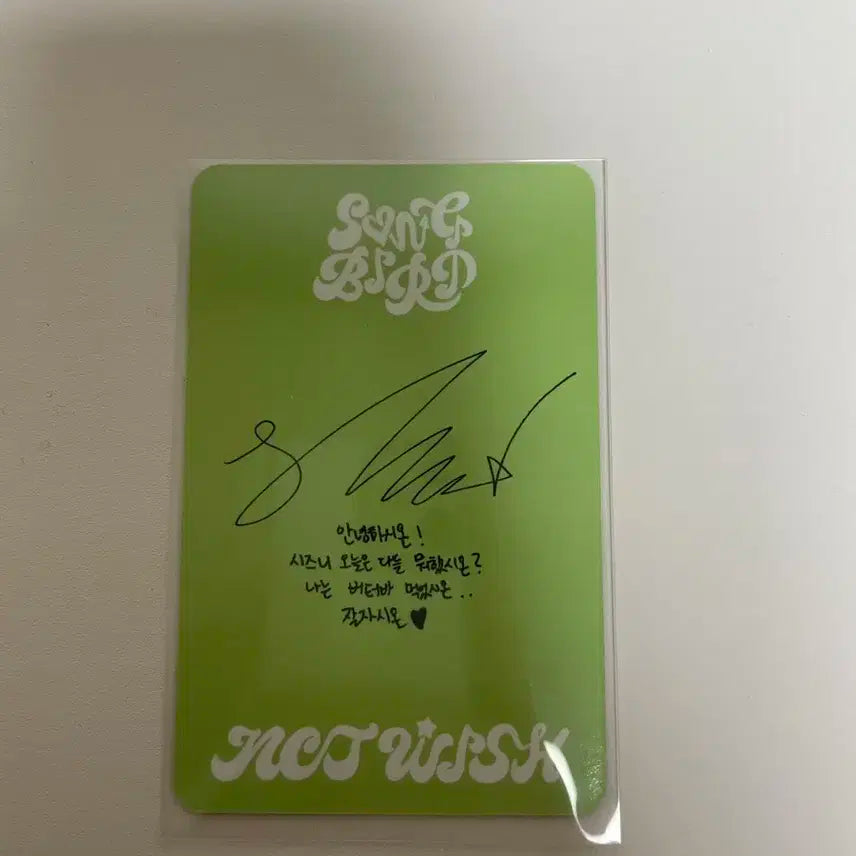 위시 송버드 레터버전 시온