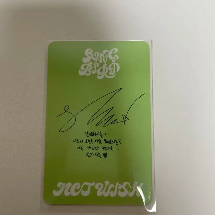 위시 송버드 레터버전 시온