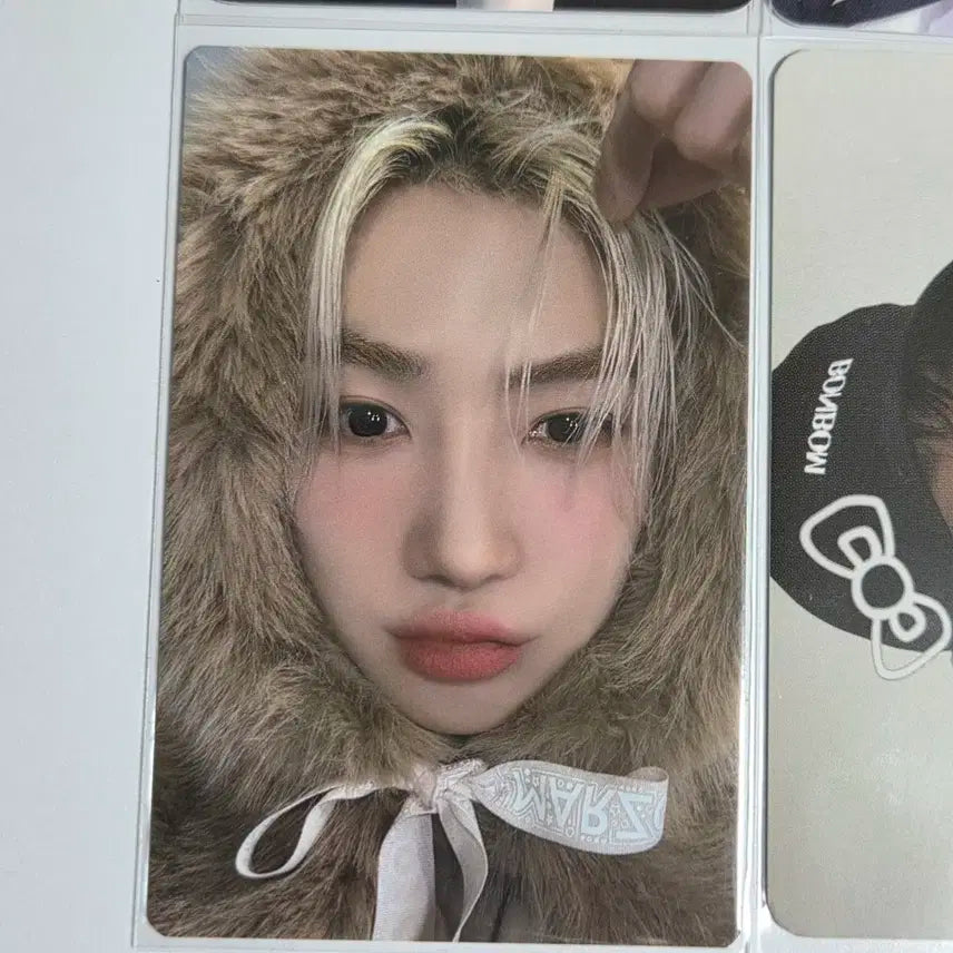 더보이즈 뉴 포카 4장 일괄 양도