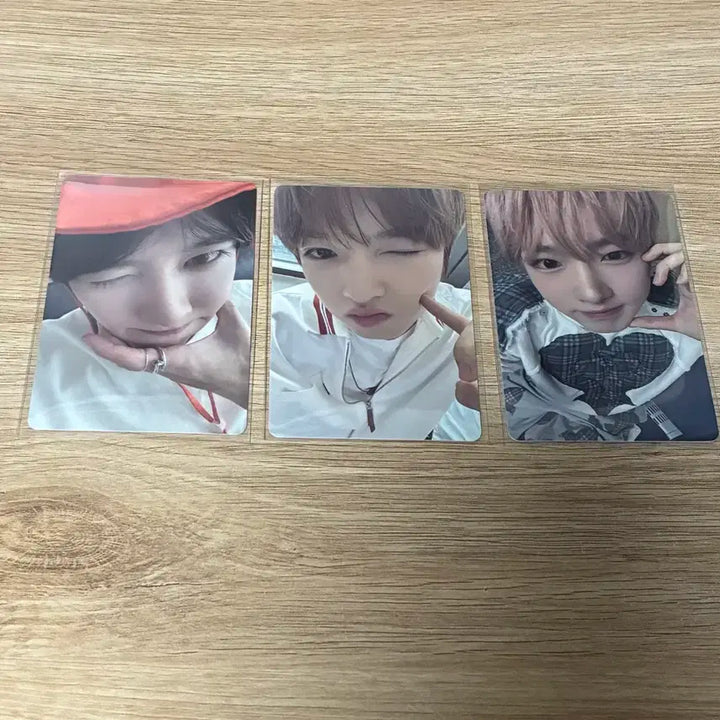 엔시티위시 포카 일괄 양도 | 사쿠야 시온 뮤직아트 무신사 시오닝 팡이
