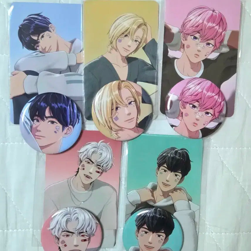플레이브 X blush 포카 + 캔뱃지 판매