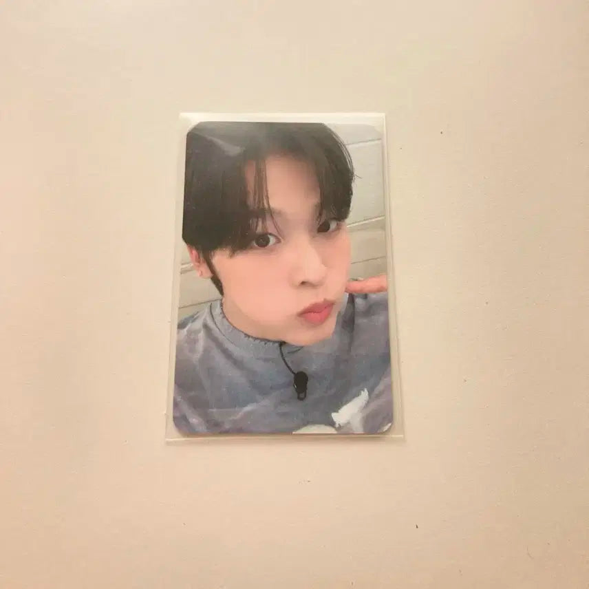 엔시티 위시 리쿠 송버드 위드뮤 럭키 드로우 포토카드 포카