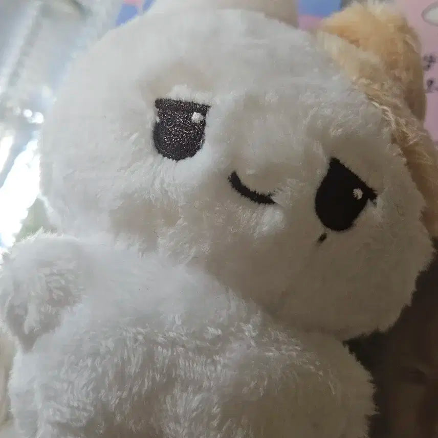 엔시티 위시 유우시 10cm 인형 모짜유 양도