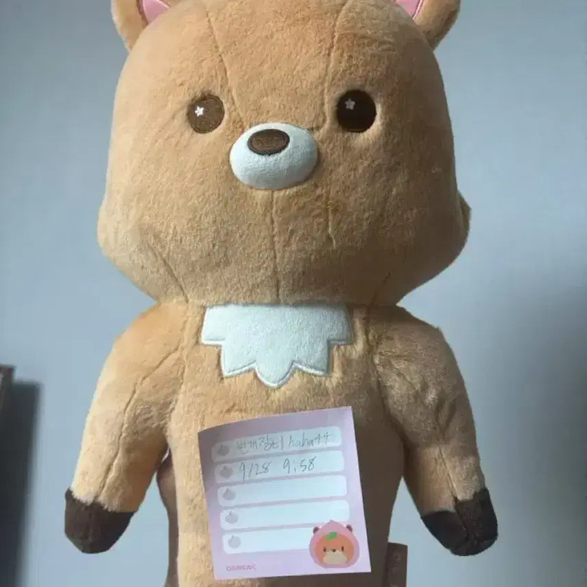 40cm 우락밤 양도